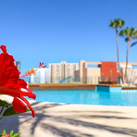 Gorgeous Paraiso Free Wifi *