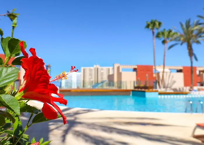 Gorgeous Paraiso Free Wifi *